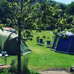 Review of Lough Ennell Caravan and Camping Park, Mullingar 